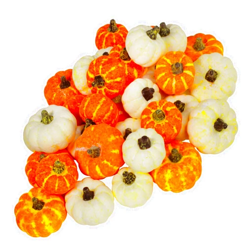 Winlyn 32 Pcs Assorted Artificial Orange and Cream Baby Boo Mini Pumpkins Rustic Harvest Pumpkins Fall Thanksgiving Halloween Wreath Tabletop Decor Bowl Fillers