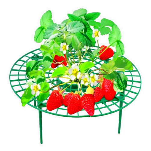 HOLAGZ Strawberry Supports, 5 Packs Strawberry Plant Stand, Strawberry Growing Kit, Protect Strawberry Plants (5 Pack)