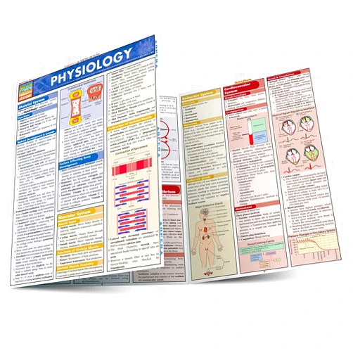 W. Randy Brooks Ph.D Physiology Laminated Reference Guide (QuickStudy Academic)