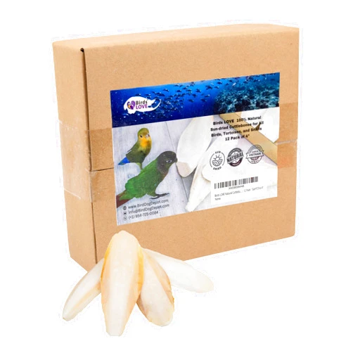 Birds LOVE Natural Cuttlebone – Premium Calcium & Trace Mineral Supplement for Avian Species, Tortoises, and Snails – Pure Cuttlebone for Parakeets and All Birds - 12 Pack, Size 3.5 to 4