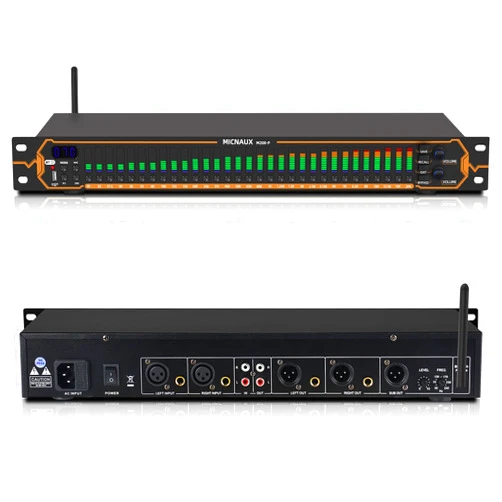 MICNAUX Equalizer for Home Stereo Audio System, Professional 31-Band Graphic Equalizer Rack Mount Music Digital EQ Studio Equalization with Spectrum Analyzer Display & Noise Reduction