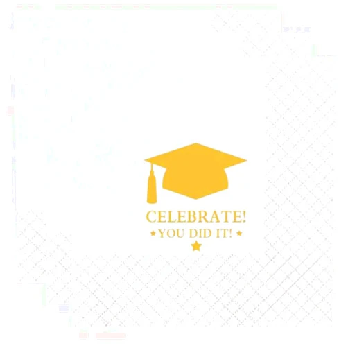 Xeuvozy 100 Count of Graduation Party Paper Napkins for Graduation Party