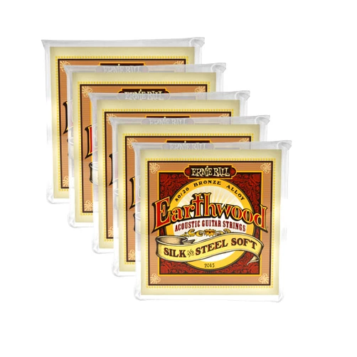 Total music Source 5 PACK Ernie Ball P02051 Earthwood Silk and Steel 12-String Soft Acoustic Set.009 - .046