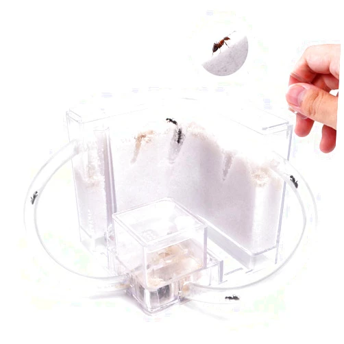 NAVADEAL Sand Ant Farm with Connecting Tubes, Habitat Educational & Learning Science Kit Toy for Kids & Adults - Allows Study of Ecosystem, Behavior of Ants, Explore The World at Home and School
