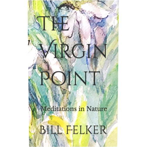Bill Felker The Virgin Point: Meditations in Nature