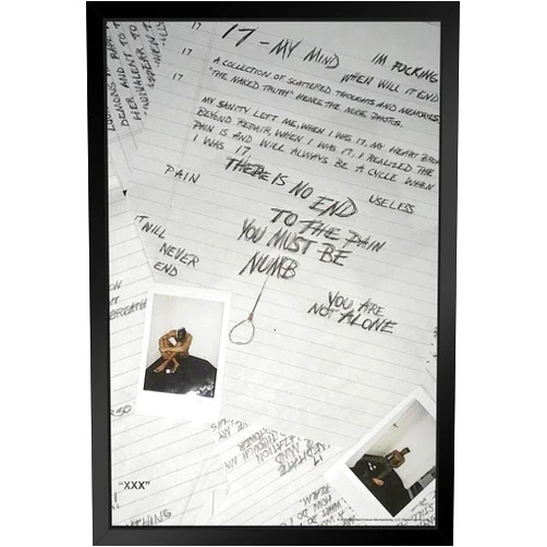 Poster Foundry XXXtentacion 17 Album Cover Art Merch XXX Bad Vibes Forever Skins Trap Music Aesthetic Black Wood Framed Wall Art 14x20