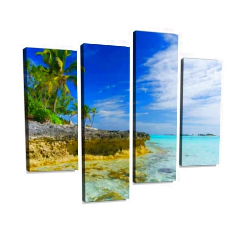 IGOONE 4 Panels Canvas paintings - green turtle cay green sea turtle stock pictures, royalty free - Wall Art modern Posters Framed Ready to Hang for Home Wall Decor