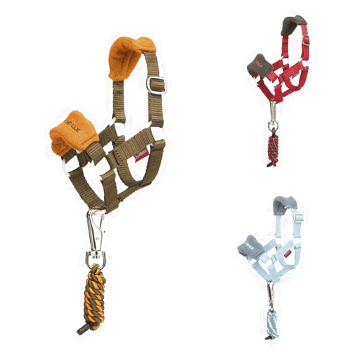 LeMieux Toy Pony Vogue Halter & Leadrope - Ages 3+ - Fleece Padded Noseband - Adjustable Strap - Machine Washable - Ember - One Size