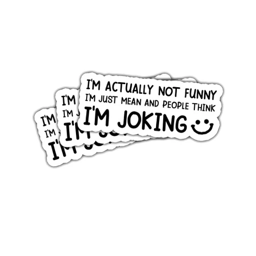 Vybonz 3Pcs I'm Actually Not Funny I'm Just Mean and People Think I'm Joking Sticker Gifts People Think I'm Joking Stickers I'm Actually Not Funny Car Decal for Laptop Water Bottle Toolbox Phone Case 3