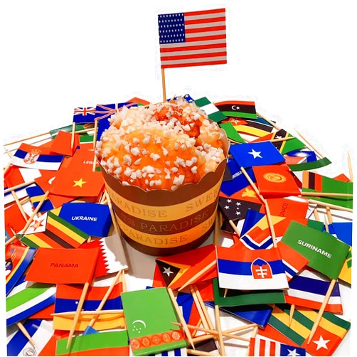 Melostu RYLEAO Assorted 200 pcs Different Countries Toothpick Flag No duplication International World Country little Flags Children's Party Decoration Cocktail Fruit Stick Cupcakes Toppers