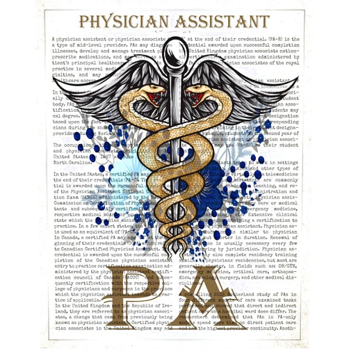 LoveShineFlair Physician Assistant Gift, PA Gift, Physician Assistant Student, Medical Print, Graduation Gift, Medical School, Gift idea, PA Wall Art