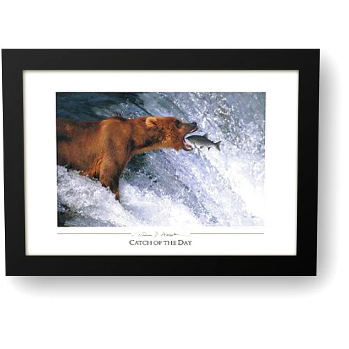 ArtDirect Catch of the Day 40x28 Framed Art Print by Mangelsen, Thomas