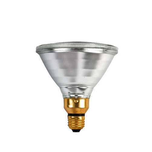 PHILIPS 53W 120V PAR38 Halogen Flood Bulb