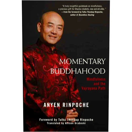 By Anyen Rinpoche (Author), Allison Graboski (Translator), Tulku Thondup Rinpoche (Foreword) & 0 more Momentary Buddhahood: Mindfulness and the Vajrayana Path