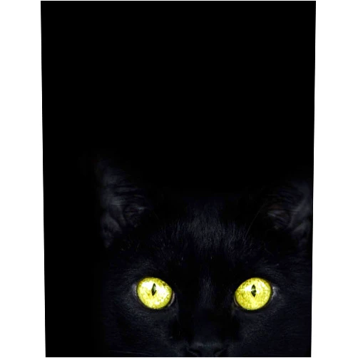 By Obsidian Paper Press (Author) Black Paper Notebook: Black Cat Notebook Paper Book For Use With Gel Pens | Reverse Color Journal With Black Pages | Green Cat Eyes | College Ruled (Black Paper Journals & Sketchbooks | Gel Pen Paper)