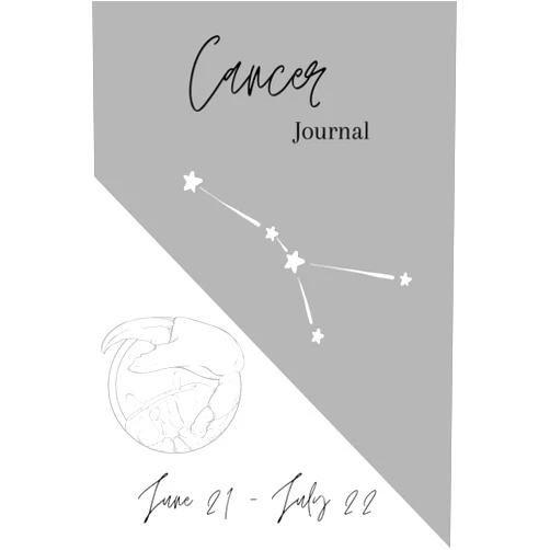 Jessica Rachel Jepsen Cancer Journal