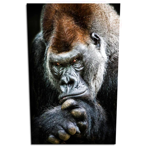 Generic Gorilla Canvas Pictures Wall Art For Living Room Bedroom Orangutan Big Monkey Animal Poster Print Decor Unframed18 x12