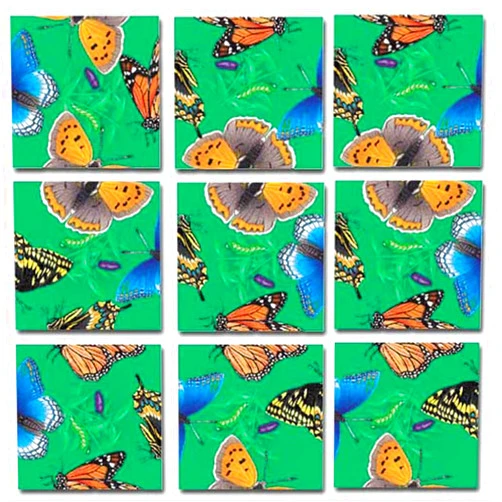B. dazzle, inc Scramble Squares: Butterflies