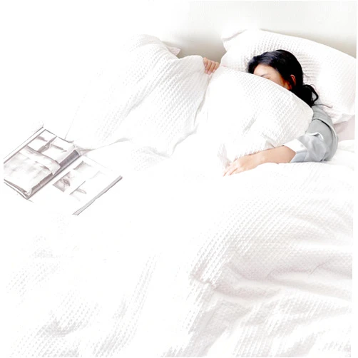 David's Home Waffle Weave Comforter Set 3PCS Queen Size, Soft Breathable Lightweight Warm for All Season, Elegant Aesthetic Home Decor Bedding Set Collection, 1 Comforter with 2 Pillow Shams, White