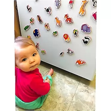 BATEMEN Refrigerator Magnets for Kids Zoo Animals - Big Fridge Magnets for Toddlers Animals Toys Animal Toys Educational Toys for 1 Year Old Learning Toys for Toddlers 1-3 Magnetic Toys Toddler Toys Baby Toys