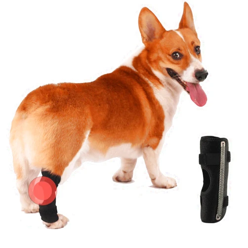 Anosiar Dog Rear Leg Hock Brace, Pair of Canine Dog Leg Joint Wraps Compression Brace Protects Wounds, Heals and Prevents Injuries and Sprains Helps with Loss of Stability Caused by Arthritis