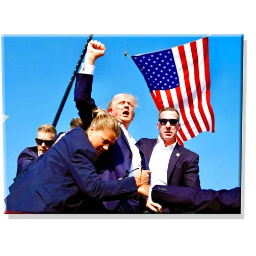ArtWorks Decor Donald Trump Assassination Attempt Fight Picture on Stretched Canvas Wall Art, Ready to Hang! (11
