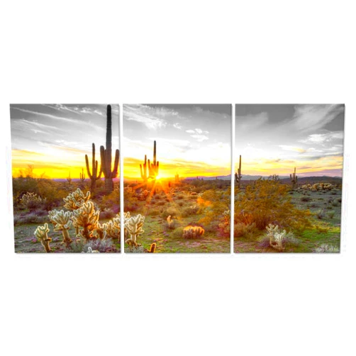 sechars Arizona Canvas Wall Art Arizona Desert Landscape Picture Painting Southwest Cactus Canvas Print for Living Room Bedroom Decor
