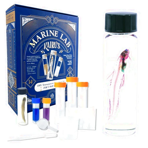 KAIRU ECO-ART STUDIO DIY Transparent Specimen Kit, Fish