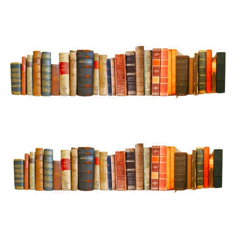 Whimsical Practicality Books Cake Border 2 Strips per Sheet 3.5x10.5 inches