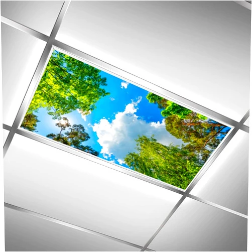 C.IOPMNU 2 Pack Fluorescent Light Cover for Classroom, Green Tree Drop Ceiling Decorative Film Filter,Blue Sky Eliminate Harsh Glare Causing Eyestrain and Headaches…