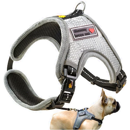 ADITYNA No Pull Dog Harnesses for Small Dogs - No Escape Dog Harness - Reflective and Soft Padded Harness - Easy Adjustable for Everyday Use