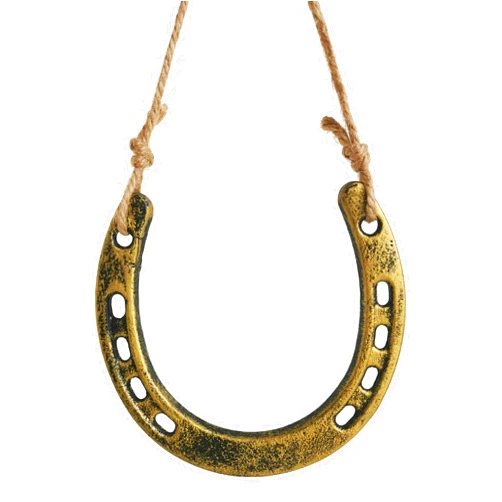 HVSENW Cast Iron Horseshoe Decor - Lucky Horseshoe Wall Decor - Rustic Good Luck Horse Shoe for Western Wedding Cowboy Party Housewarming Christmas Decorations & DIY Craft Projects (Gold)