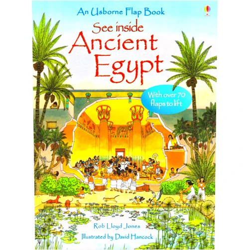 By Rob Lloyd Jones (Author) See Inside Ancient Egypt (See Inside Board Books)
