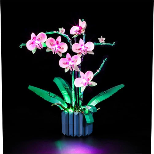 Lightailing Light for Lego-10311 Orchid - Led Lighting Kit Compatible with Lego Building Blocks Model - NOT Included The Model Set