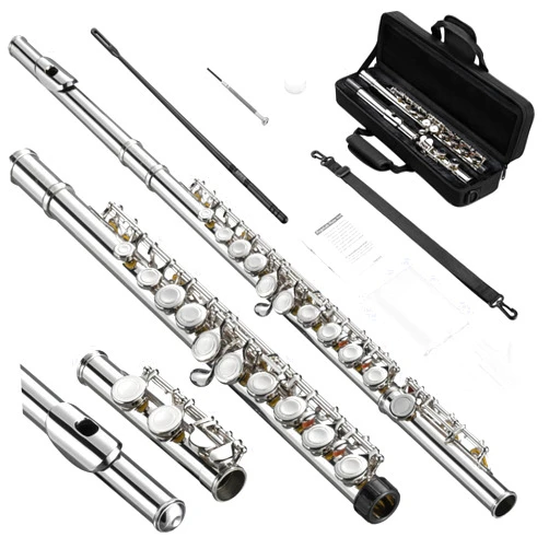POGOLAB Flutes, Closed Hole C 16 Keys Flute Instrument, Student Flute for Beginner Advanced Player, with Flute Cleaning Kit, Carry Bag, Strap, Probe Rod, Gloves (Nickel Flute)