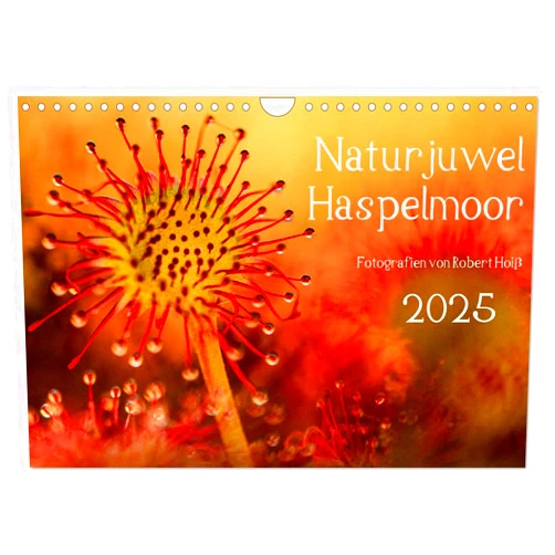 CALVENDO Naturjuwel Haspelmoor (Wandkalender 2025 DIN A4 quer), CALVENDO Monatskalender [Calendar] Robert Hoiß