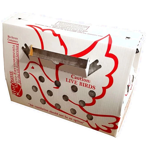 Horizon Micro-Environments Live Bird Shipping Boxes *Vented Single* Poultry Gamefowl Chickens (1PK) USPS Approved