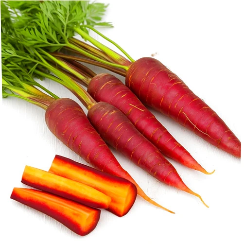 Isla's garden seeds Cosmic Purple Carrot Seeds for Planting, 500+ Heirloom Seeds Per Packet, (Isla's Garden Seeds), Non GMO Seeds, Botanical Name: Daucus carota subsp. sativus, Great Home Garden Gift