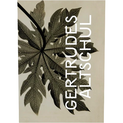 Adriano Pedrosa,Tomás Toledo,Gertrudes Altschul,Abigail Dardashti,Guilherme Giufrida,Heloisa Espada,Helouise Costa,Paula Kupfer,Sarah Meister Gertrudes Altschul: Filigree