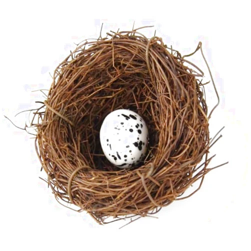 Jowxsx Artificial Bird Nest, Bird Nest with Artificial Bird Eggs, Country Style Simulation Twig Bird Nest for Handmade Easter Rattan Nest Easter Supplies Nests Birdcage Accessories