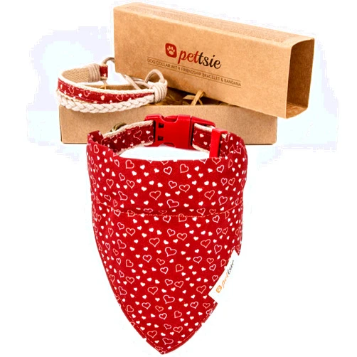 Pettsie Bandana Dog Collar, Matching Friendship Bracelet, Durable, Comfortable and Soft Hemp for Sensitive Skin, Gift Box, 3 Easy Adjustable Sizes, D-Ring for Easy Leash Attachment, Medium, Red