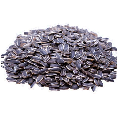 GERBS Lightly Sea Salted Whole Sunflower Seeds 14 OZ. Roasted Resealable Bag | Top 14 Allergy Free | Superfood | Crack shell eat Kernel | Grown in USA