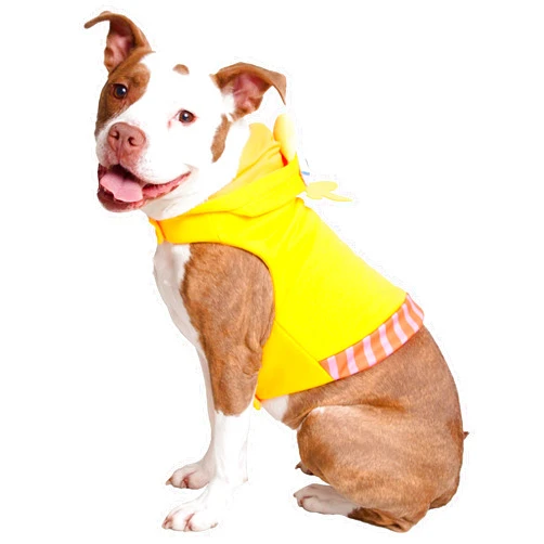 PET KREWE UNLEASH THE PARADE Pet Krewe Large Sesame Street Big Bird Hoodie Dog Costume Fits Dogs size Small, Medium, Large or Extra Large -Perfect for Halloween, Christmas Holiday, Parties, Photoshoots, Gifts for Dog lovers