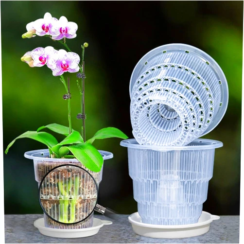 Meshpot 4 inch Clear Orchid Pots with Holes and Saucers for Repotting,Pack of 4,Small Plastic Orchid Planters Provide Good Air Circulation,Nursery Pots for Succulents,Herbs,Aloes,Mint