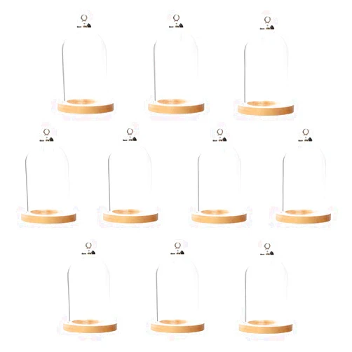 ZenRa 10-Piece Glass Dome Pendant Set with Wooden Base and Hollow Glass Cabochons (38x25mm, Wood Color)