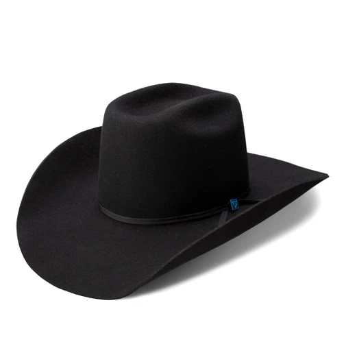 RESISTOL Men's Wool Western Hat