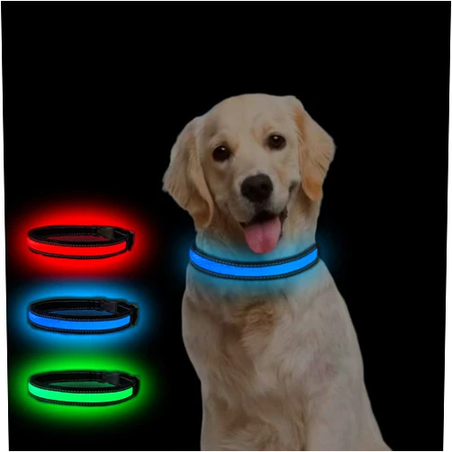 COMOIL Waterproof Led Dog Collar, USB Rechargeable Light Up Dog Collar，Adjustable Fit Glow Collar for Walking, Jogging and Running at Nigh(Blue XS)