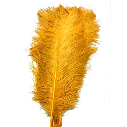 ADAMAI 100PCS Natural 11.8-13.7inch Ostrich Feathers Plume for Wedding Centerpieces Home Decoration (Gold)