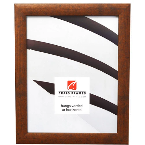 Craig Frames Contemporary Picture Frame, 14 x 16 Inch, Rustic Copper