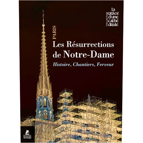 French Edition by Laurent Ulrich (Author), Jean-Michel Leniaud (Author), Mathieu Lours (Author), Philippe Jost (Author), Philippe Villeneuve (Author), Claire Bommelaer (Author), Olivier Ribadeau Dumas (Author), Gilles Drouin (Author), Philippe Plagnieux (Author), Anne-Bénédicte Mérel-Brandenburg (Author), Delphine Bastet (Author), Marie-Hélène Didier (Author), Laurent Prades (Author), Jean-Pierre Cartier (Author), Maxime Deurbergue (Author), Marc Chauveau (Author), Joseph Doré (Editor) & 13 more Les résurrections de Notre-Dame de Paris - Histoire, chantiers, ferveur